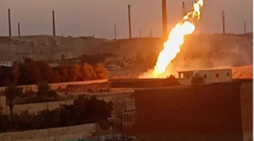 نفوق 110 رأس أغنام في حريق حظيرة ومزرعة بالمنيا والسبب: عقب سيجارة