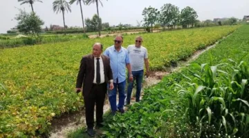 وكيل زراعة البحيرة يقوم بزيارة محصول الفاصوليا في حوش عيسى ويثني على جودته