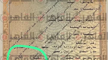 ننشر وثيقة طلاق الفنان محمود عبد العزيز من الإعلامية بوسي شلبي | انفراد