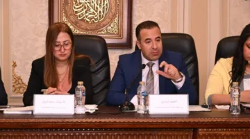 نواب الاتصالات: البريد أنجز أهداف المرحلة الثانية من مبادرة حياة كريمة قبل انطلاقها