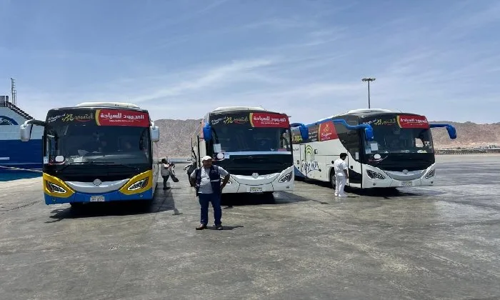 نويبع تستقبل أول مجموعات الحجاج عبر البر.. جهود كبيرة لتسهيل رحلتهم نويبع تستقبل أول مجموعات الحجاج عبر البر.. جهود كبيرة لتسهيل رحلتهم