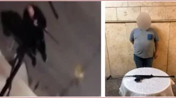 هاجمته فانتقم منها.. ملابسات فيديو إطلاق أعيرة رش تجاه الكلاب بالقاهرة