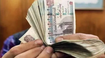 هتقبض 1500 جنيه.. رابط إلكتروني للاستعلام عن منحة العمالة غير المنتظمة 2025