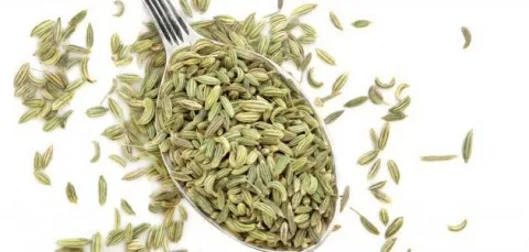 هل يؤثر اليانسون على هرمون الذكورة؟ إليك ما يقوله الخبراء هل يؤثر اليانسون على هرمون الذكورة؟ إليك ما يقوله الخبراء
