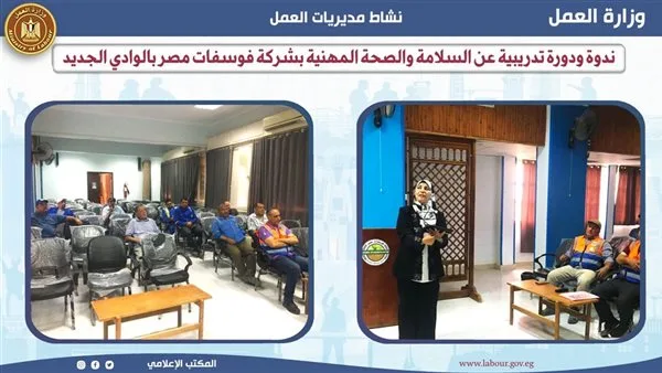 ورشة عمل متخصصة في السلامة والصحة المهنية في “هيئة العمل بالوادي الجديد”