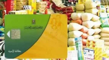 طرق الحصول على بدل بطاقة التموين التالفة لعام 2025 من خلال بوابة مصر الرقمية خطوة بخطوة