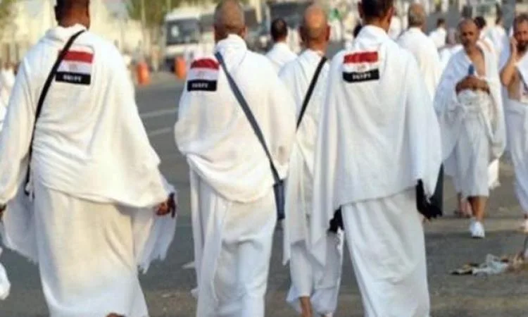 وزارة السياحة: عدد الحجاج لهذا العام يشكل 52% من الحصة الكلية للحج وزارة السياحة: عدد الحجاج لهذا العام يشكل 52% من الحصة الكلية للحج