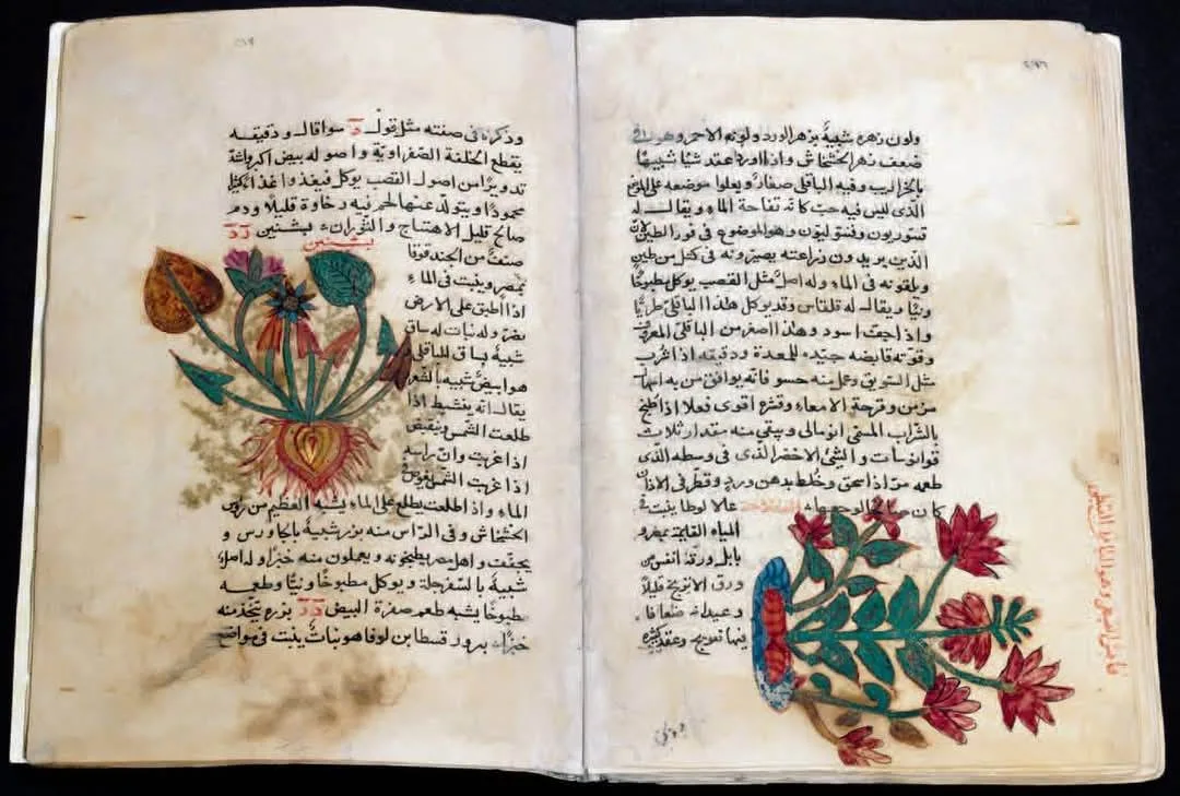 وزارة السياحة والآثار تُحيي يوم المتاحف العالمي وزارة السياحة والآثار تُحيي يوم المتاحف العالمي