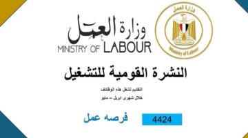 وزارة العمل: 4424 فرصة عمل جديدة للشباب في 72 شركة خاصة في 12 محافظة