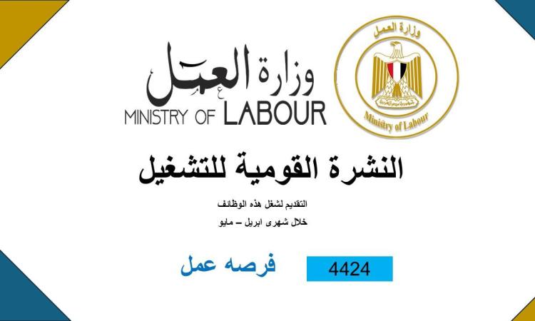 وزارة العمل: 4424 فرصة عمل جديدة للشباب في 72 شركة خاصة في 12 محافظة وزارة العمل: 4424 فرصة عمل جديدة للشباب في 72 شركة خاصة في 12 محافظة