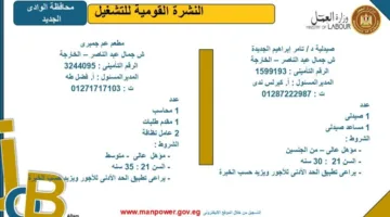 وزارة العمل تكشف عن فرص عمل جديدة في محافظة الوادي الجديد.. اكتشف التفاصيل.