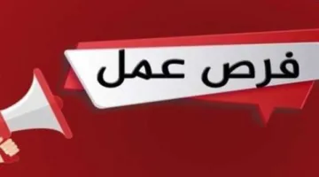 وزارة العمل تكشف عن فرص عمل جديدة للأطباء في السعودية.. تعرف على متطلبات التقديم
