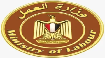وزارة العمل: توفير 4000 فرصة عمل جديدة في 12 محافظة