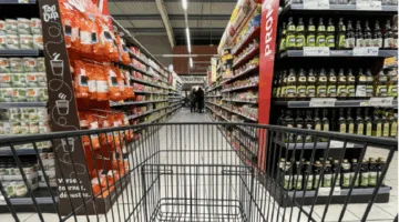 وزير التموين: طرح السكر بسعر 30 جنيها وانخفاض أسعار البيض إلى 120 جنيها