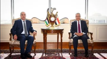 وزير الخارجية: مستمرون في جهود الوساطة لوقف إطلاق النار بغزة.. ونرفض استخدام إسرائيل التجويع كسياسة للعقاب الجماعي