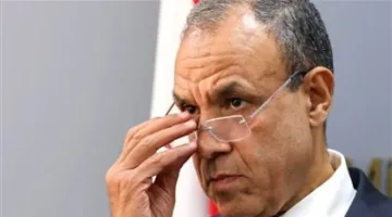 وزير الخارجية: مصر تكبدت خسائر بقيمة 8 مليارات دولار منذ بدء الصراع الإسرائيلي في غزة