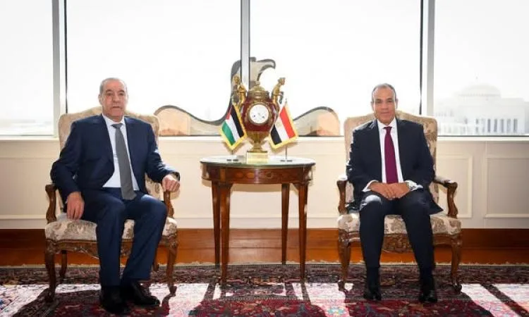 وزير الخارجية يؤكد استمرار مصر في جهود الوساطة لوقف إطلاق النار في غزة وزير الخارجية يؤكد استمرار مصر في جهود الوساطة لوقف إطلاق النار في غزة