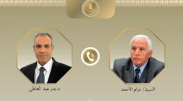 وزير الخارجية يؤكد في اتصال هاتفي مع عزام الأحمد دعم مصر الكامل للسلطة الفلسطينية