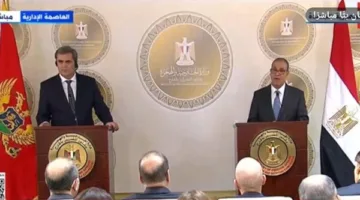وزير الخارجية يعلن تدشين خط طيران مباشر بين مصر والجبل الأسود