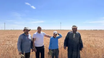 وزير الزراعة يتابع توفير المعدات اللازمة لحصاد القمح والشعير في شمال وجنوب سيناء
