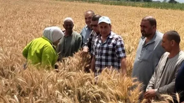 وزير الزراعة يستعرض جهود قطاع استصلاح الأراضي خلال ابريل 2025 وزير الزراعة يستعرض جهود قطاع استصلاح الأراضي خلال ابريل 2025