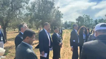 وزير الزراعة يشارك في جولة ميدانية لتفقد مزارع الزيتون في إيطاليا المتضررة من بكتيريا الزيليلا