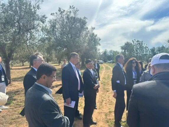 وزير الزراعة يشارك في جولة ميدانية لتفقد مزارع الزيتون في إيطاليا المتضررة من بكتيريا الزيليلا وزير الزراعة يشارك في جولة ميدانية لتفقد مزارع الزيتون في إيطاليا المتضررة من بكتيريا الزيليلا