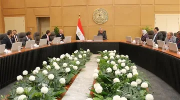 وزير الكهرباء يبحث مع مجموعة “إنكوم” التعاون في مجالات الطاقة المتجددة
