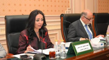 وزيرة التضامن: ما تنفذه الدولة في ملف الحماية الاجتماعية من أنجح البرامج