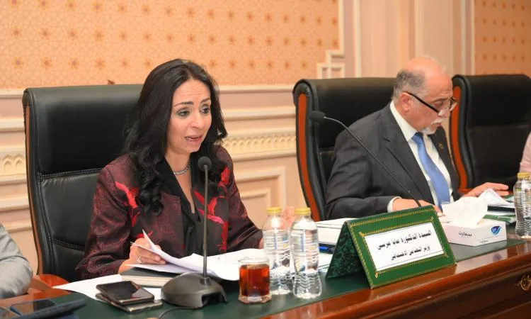 وزيرة التضامن: ما تنفذه الدولة في ملف الحماية الاجتماعية من أنجح البرامج وزيرة التضامن: ما تنفذه الدولة في ملف الحماية الاجتماعية من أنجح البرامج