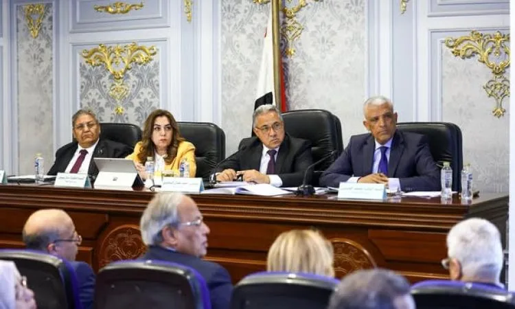 وزيرة التنمية المحلية في مجلس النواب: نركز بشكل كبير على تعزيز الاستثمار وزيرة التنمية المحلية في مجلس النواب: نركز بشكل كبير على تعزيز الاستثمار