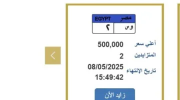 وصلت 500 ألف جنيه.. «المرور» تطرح التزايد على لوحة سيارة مميزة