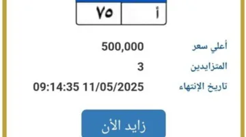 وصلت لـ 500 ألف جنيه.. "المرور" تطرح التزايد على لوحة سيارة مميزة