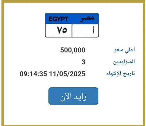 وصلت لـ 500 ألف جنيه.. "المرور" تطرح التزايد على لوحة سيارة مميزة وصلت لـ 500 ألف جنيه.. "المرور" تطرح التزايد على لوحة سيارة مميزة