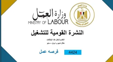 وظائف جديدة للشباب بالقطاع الخاص.. والتقديم حتى نهاية مايو (التفاصيل)