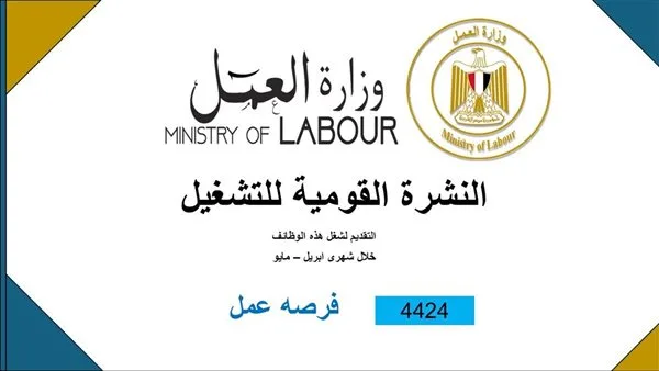 وظائف جديدة للشباب بالقطاع الخاص.. والتقديم حتى نهاية مايو (التفاصيل) وظائف جديدة للشباب بالقطاع الخاص.. والتقديم حتى نهاية مايو (التفاصيل)