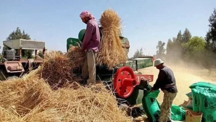 وفاة شاب داخل آلة طحن القمح بمنشأة جريس في المنوفية وفاة شاب داخل آلة طحن القمح بمنشأة جريس في المنوفية