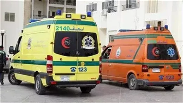 وفاة شخص وإصابة ثلاثة آخرين جراء تصادم بين سيارة خاصة وتروسيكل في الدقهلية وفاة شخص وإصابة ثلاثة آخرين جراء تصادم بين سيارة خاصة وتروسيكل في الدقهلية