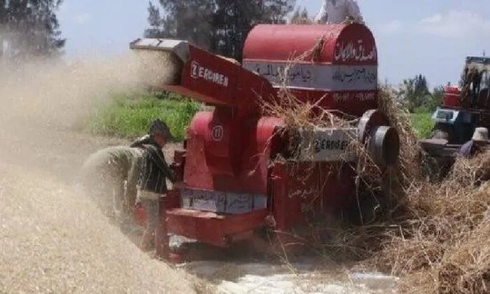 وفاة مزارع داخل أرضه بالسنطة بعد أن سحبته ماكينة الدراس وفاة مزارع داخل أرضه بالسنطة بعد أن سحبته ماكينة الدراس