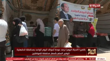 وكيل "التموين" يوضح تفاصيل مبادرة "السوق الواحد" في الدقهلية (فيديو)