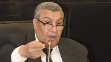 وكيل “لجنة النواب” يستفسر عن مكافآت مساعدي وزير الرياضة.. اكتشف التفاصيل
