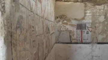 يدفنون شابًا ويغطونه بالأسمنت في الغربية لإخفاء جريمة التنقيب عن الآثار