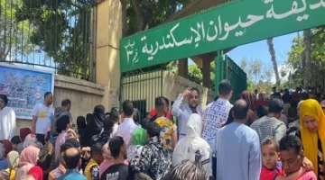 حديقة الحيوان في الإسكندرية: استقطبت 53 ألف زائر خلال عيد الأضحى.
