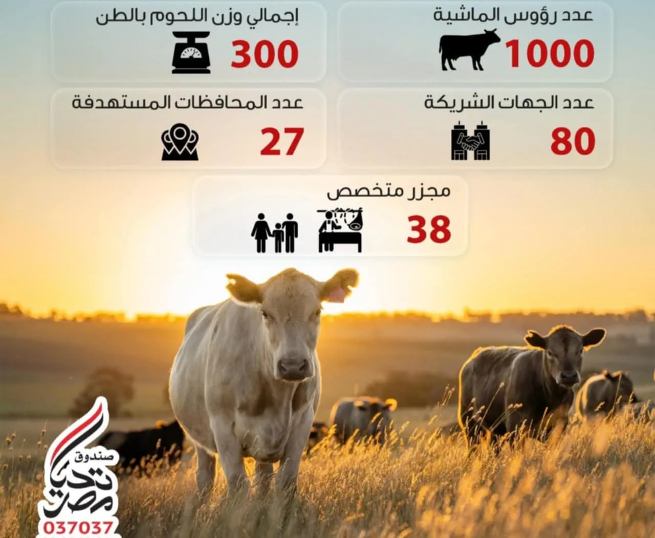 صندوق تحيا مصر يوزع لحوم الأضاحي على 1.5 مليون مستفيد من الأسر المحتاجة في جميع المحافظات.