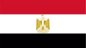 مصر اليوم: وزارة الخارجية والمهاجرين تراقب أحوال الجالية المصرية في إيران
