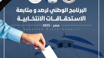 تجديد تفويض مجلس الشباب المصري لمتابعة الانتخابات القادمة