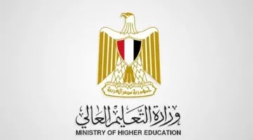 11 عامًا من النجاحات في نظام التعليم العالي
