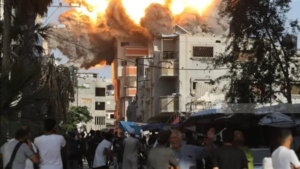 110 شهيداً: عدد ضحايا مراكز توزيع المواد الغذائية في غزة 110 شهيداً: عدد ضحايا مراكز توزيع المواد الغذائية في غزة