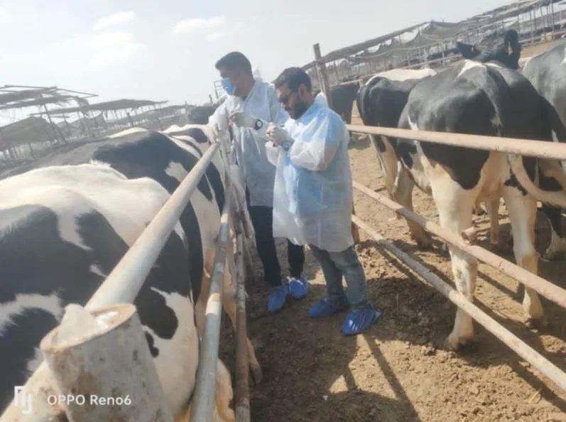 وزارة الزراعة تعزز مساعيها لحماية الثروة الحيوانية عبر قوافل طبية وحملات استقصاء وبائي