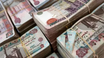 زيادة الودائع غير الحكومية بالعملة المحلية إلى 8.27 تريليون جنيه بنهاية شهر أبريل الماضي